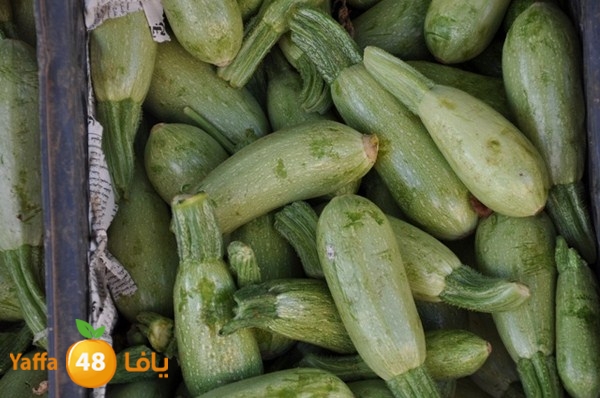 souq gan temar (33).JPG